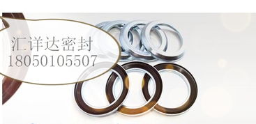 【德國進(jìn)口cfw/babsl油封型號表,42423價格,圖片,配件廠家】